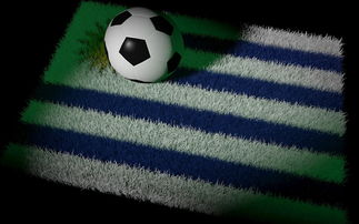 九游娱乐官网 (jiuyou)-中国足球比赛技术指标，足球比赛技术统计