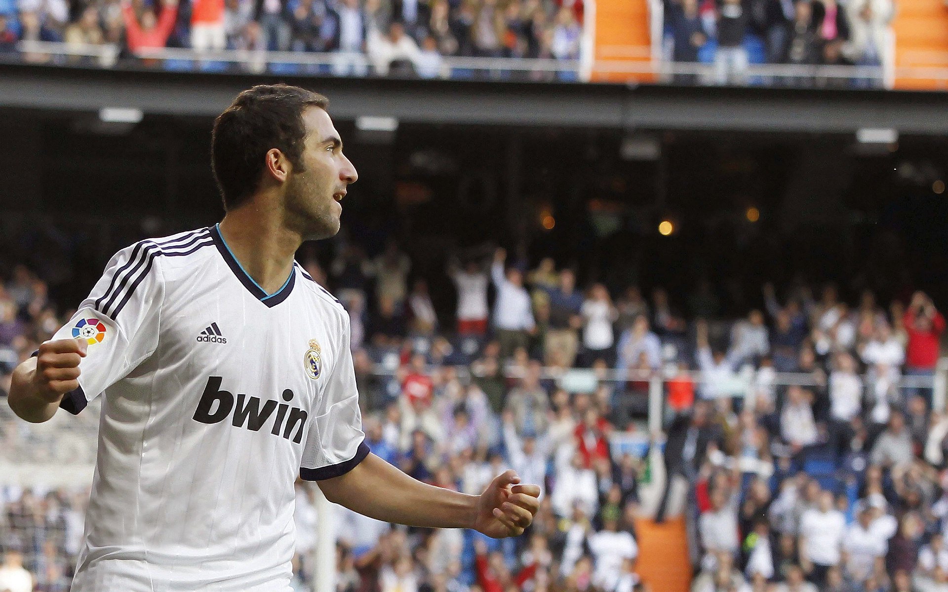 全国体操新人挑战赛小花摘得三金,中国体操新人