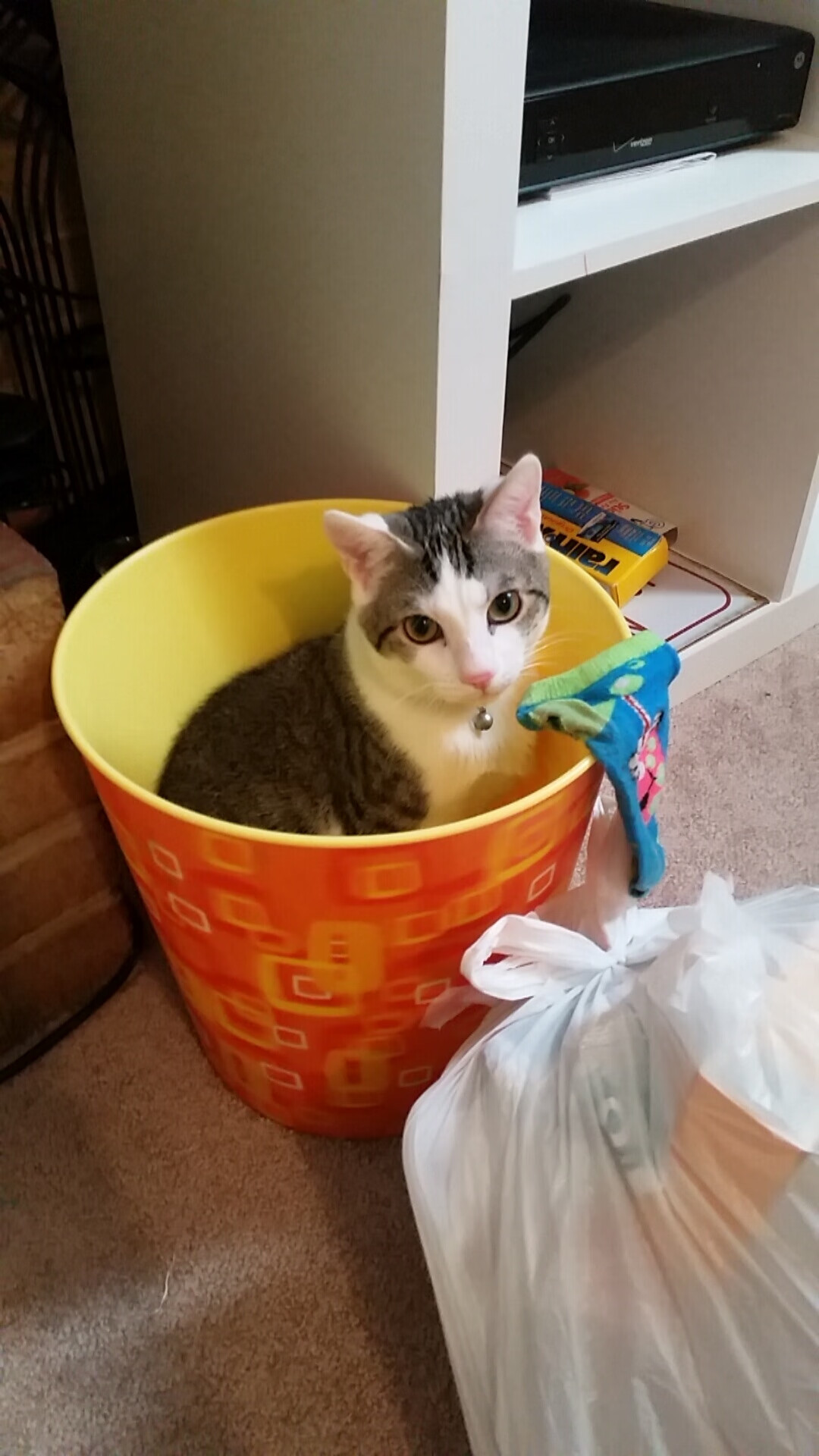 九游游戏中心-法甲战术布局：变阵奇兵改变战局，法甲变天