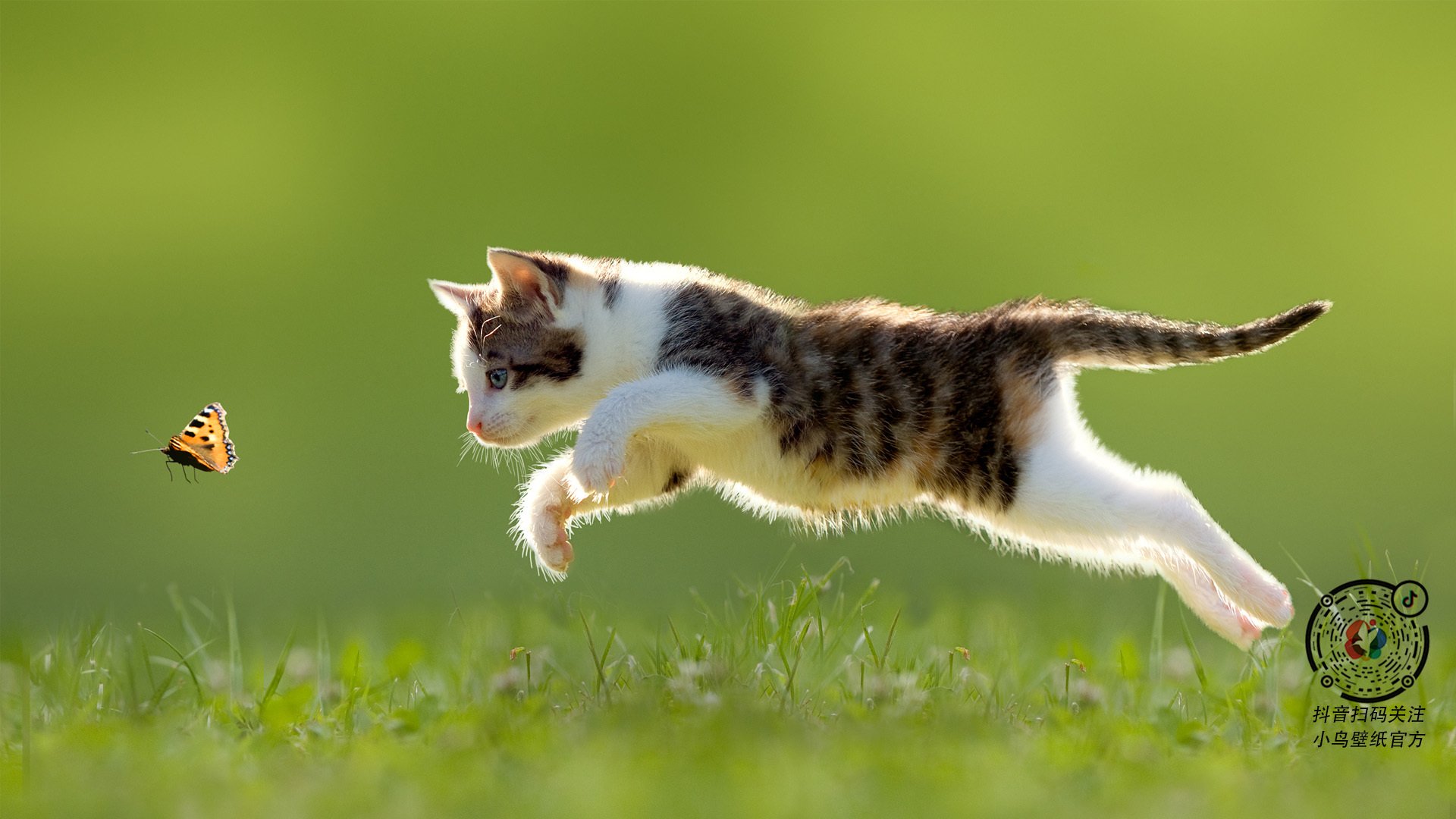 黄蜂突破强敌阻击拉梅洛智商篮球助攻如潮,黄蜂riller